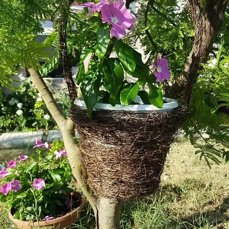 Apartman Duda Apartamento